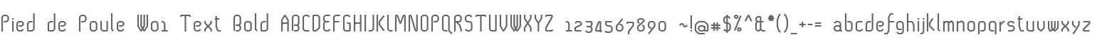 Pied de Poule W01 Text Bold