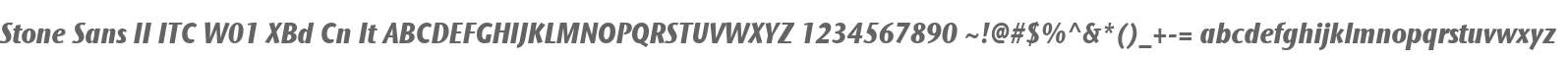 Stone Sans II ITC W01 XBd Cn It