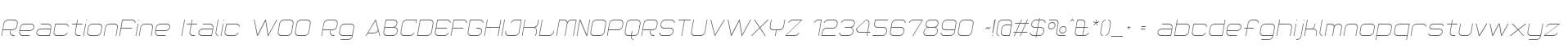 ReactionFine Italic W00 Rg