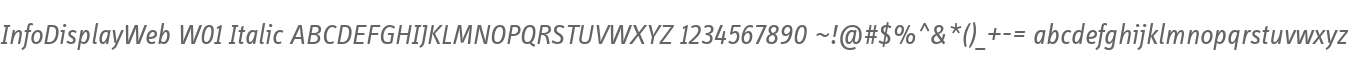 InfoDisplayWeb W01 Italic