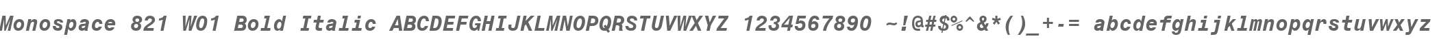 Monospace 821 W01 Bold Italic