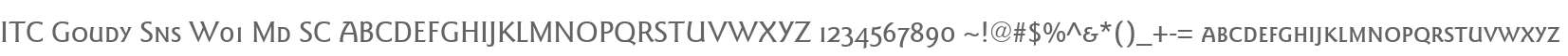 ITC Goudy Sns W01 Md SC