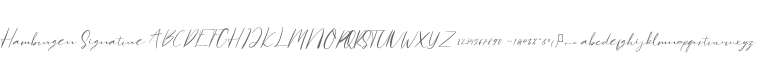 Hamburgen Signature