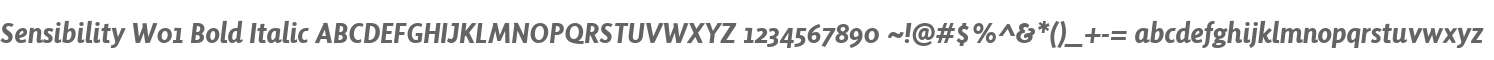 Sensibility W01 Bold Italic