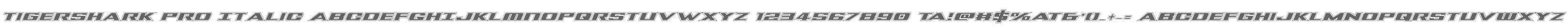 Tigershark Pro Italic