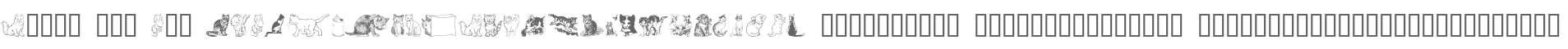 Kitty the Cat