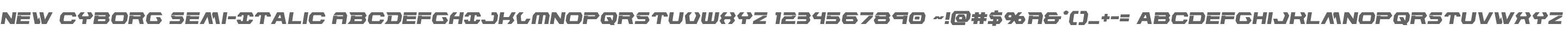 New Cyborg Semi-Italic