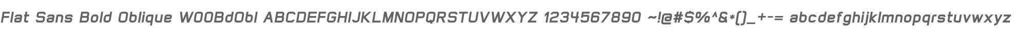 Flat Sans Bold Oblique W00BdObl