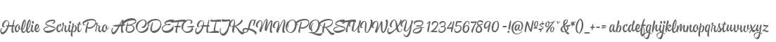 Hollie Script Pro