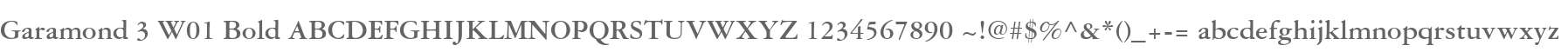 Garamond 3 W01 Bold
