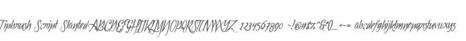 Tipbrush Script Slanted