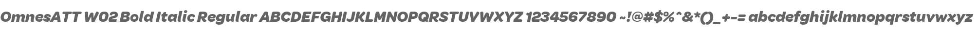 OmnesATT W02 Bold Italic Regular