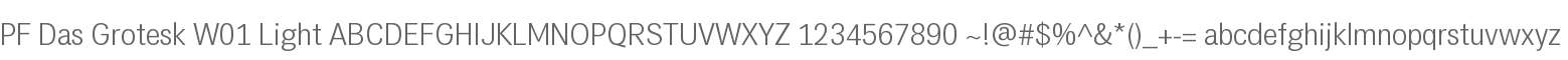 PF Das Grotesk W01 Light