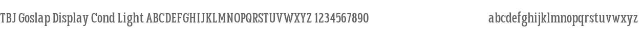 TBJ Goslap Light Cond Display