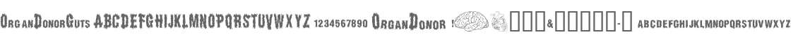 OrganDonorGuts