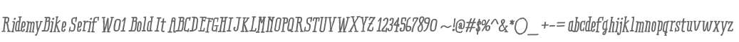 RidemyBike Serif W01 Bold It