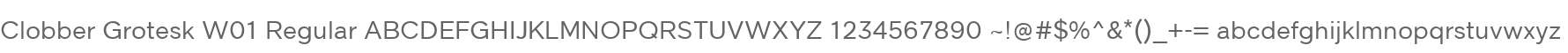 Clobber Grotesk W01 Regular