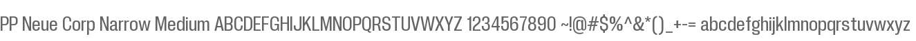 PP Neue Corp Narrow Medium