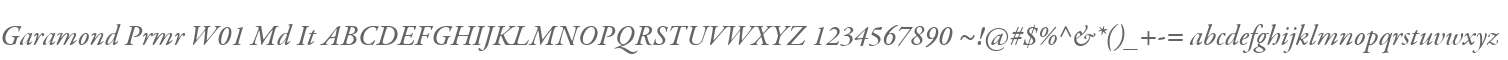 Garamond Prmr W01 Md It