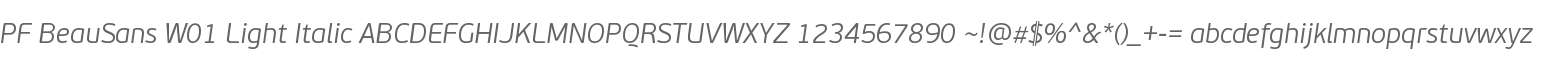 PF BeauSans W01 Light Italic