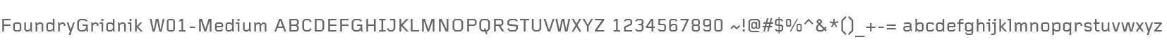 FoundryGridnik W01-Medium