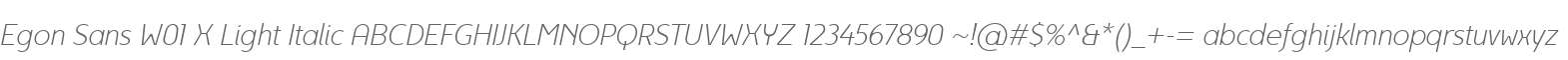 Egon Sans W01 X Light Italic