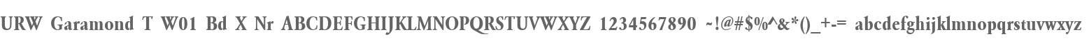 URW Garamond T W01 Bd X Nr