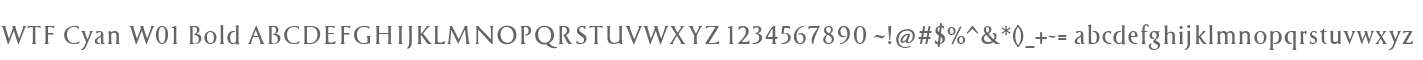 WTF Cyan W01 Bold