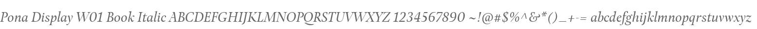 Pona Display W01 Book Italic