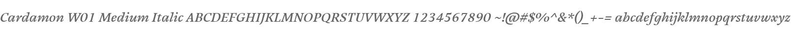 Cardamon W01 Medium Italic