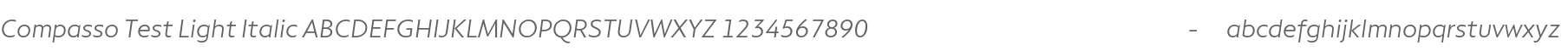 Compasso Test Light Italic