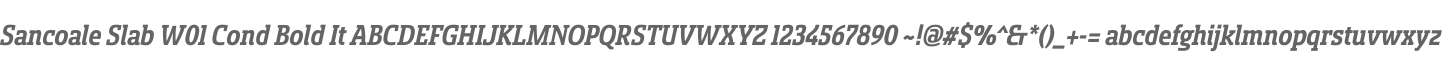 Sancoale Slab W01 Cond Bold It