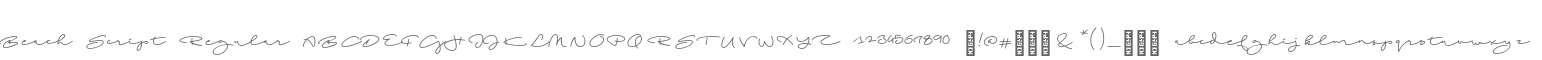 Beach Script Regular