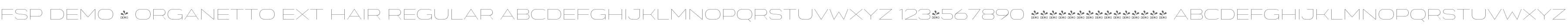 FSP DEMO - Organetto Ext Hair