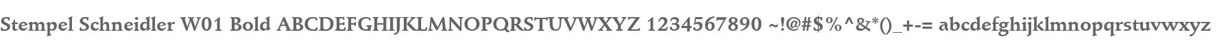 Stempel Schneidler W01 Bold