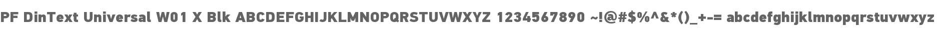PF DinText Universal W01 X Blk