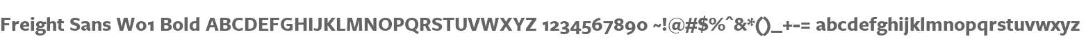 Freight Sans W01 Bold