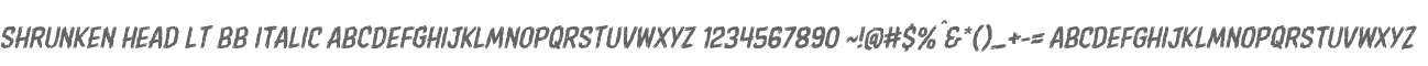 Shrunken Head LT BB Italic