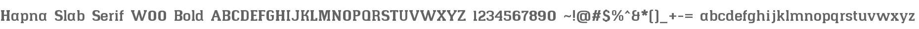 Hapna Slab Serif W00 Bold