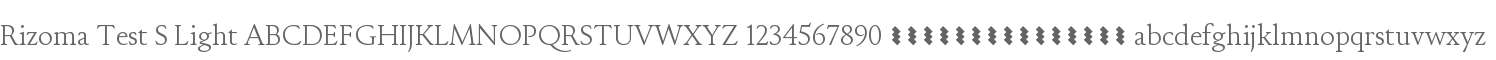 Rizoma Test S Light