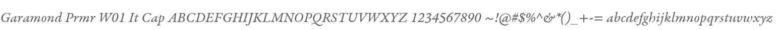 Garamond Prmr W01 It Cap