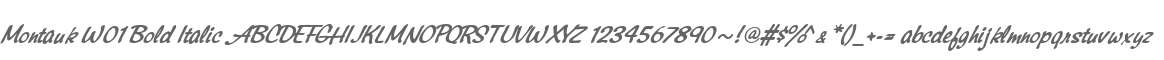 Montauk W01 Bold Italic