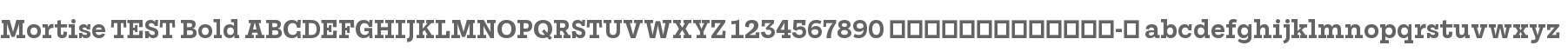 Mortise TEST Bold