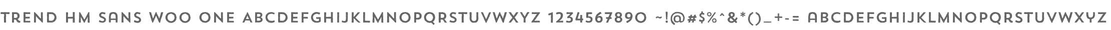 Trend HM Sans W00 One