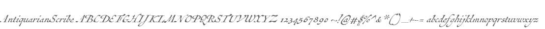 AntiquarianScribe