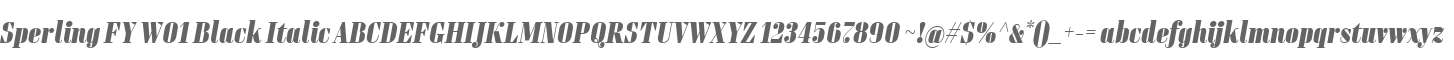Sperling FY W01 Black Italic