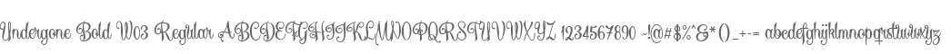 Undergone Bold W03 Regular