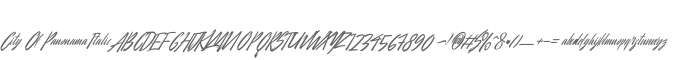City Of Panonama Italic