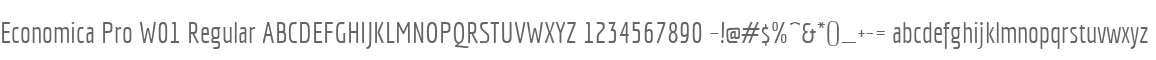Economica Pro W01 Regular