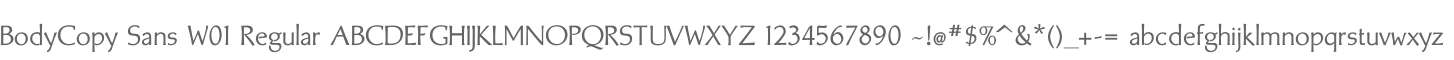 BodyCopy Sans W01 Regular
